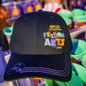EBCOT'S INTERNAL Festival of the Arts Figment Hat 2025 NWT